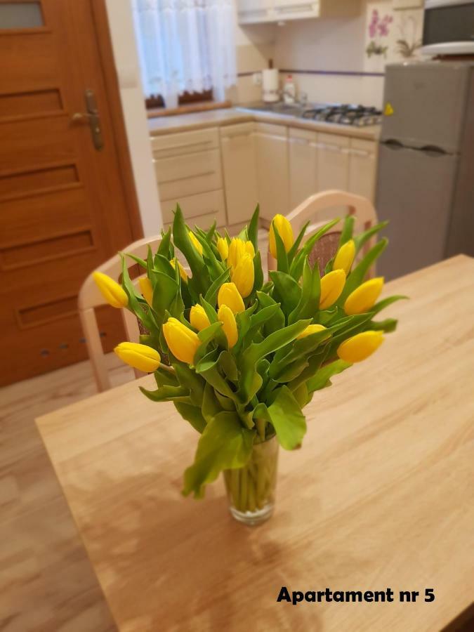 Domki I Pokoje U Borsa Lesko Luaran gambar